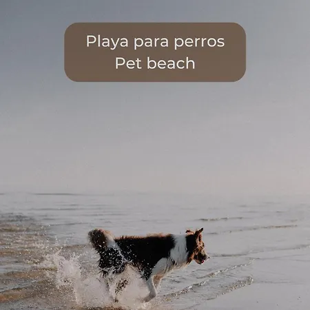 Banana Cake - Piscina, Doble Terraza, Ultima Planta , Wifi Y Parking * 코라레호