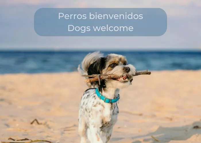 Banana Cake - Piscina, Doble Terraza, Ultima Planta , Wifi Y Parking * 코라레호