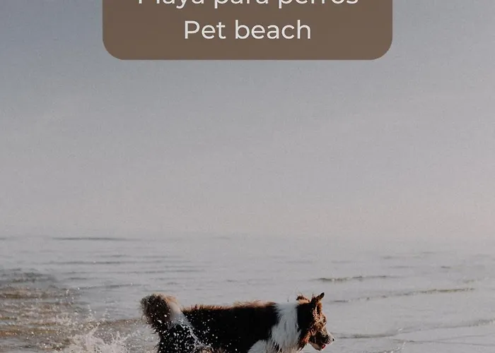 Banana Cake - Piscina, Doble Terraza, Ultima Planta , Wifi Y Parking * 코라레호